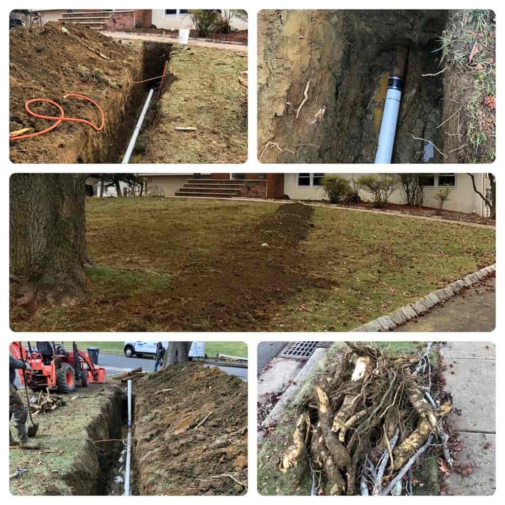 Tree Roots Destroy Pipes